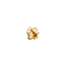 Pirots 2 popcornsymbol